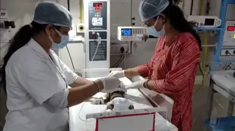 Baby Interred Alive in India Fights for Her Life