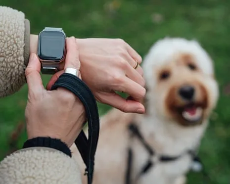 The Reality Concerning Wearable Tech? Life Feels Fuller Lacking a Hectoring Device on Your Arm